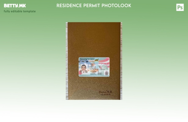 Зелен картон на САД во модерен стил, карта за постојан жител ( – сегашна) photol